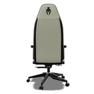 White and Black gaming chair back view