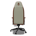 Brown and Cream Color GamingChair