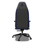 Grey and Blue Color Gaming Chair Back