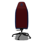 Red and blue gaming chair back view