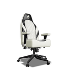 Black and White  Custom Haptic Feedback Gaming Chair Side View