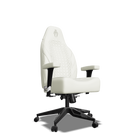 White on White Custom Haptic Feedback Gaming Chair Side View