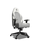 White and Grey Custom Haptic Feedback Gaming Chair Side View