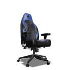 Blue and Black Custom Haptic Feedback Gaming Chair Side View