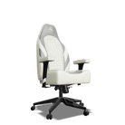 Grey and White  Custom Haptic Feedback Gaming Chair Side View