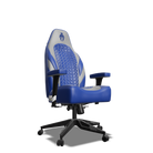 Grey and Blue  Custom Haptic Feedback Gaming Chair Side View